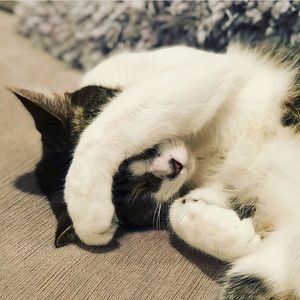 Meet your Posher, Julia